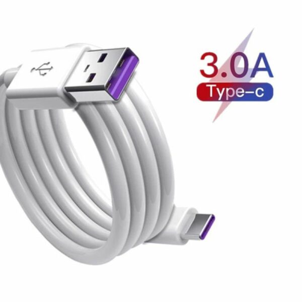 3A Type C Bulk USB