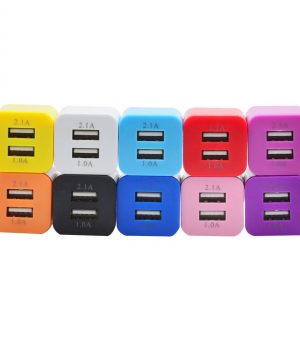 Dual USB Charging Block