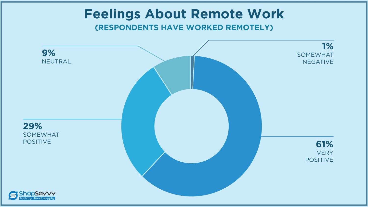 Remote Work Perception