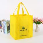 Big Shopper Grocery Bags 6