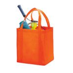 Big Shopper Grocery Bags 9