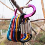 Carabiner Only 04