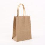 1 - custom paper bags-blank