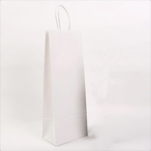 17 - custom paper bags-blank