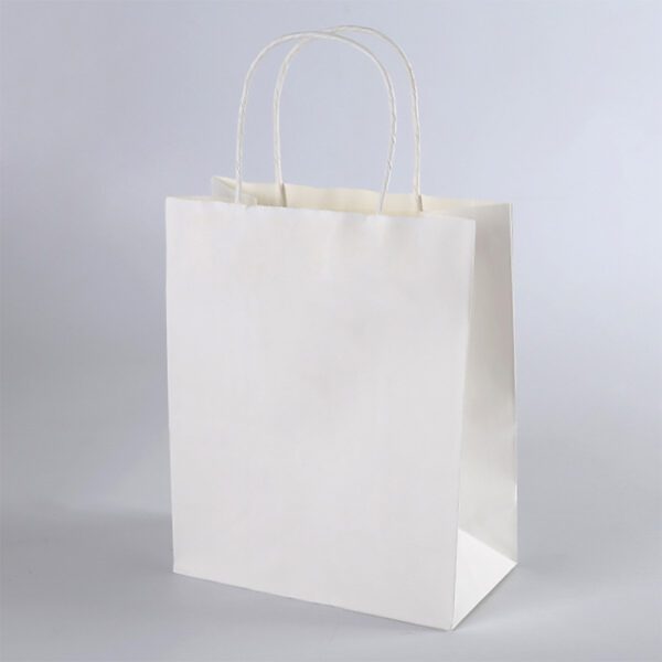 2 - custom paper bags-master