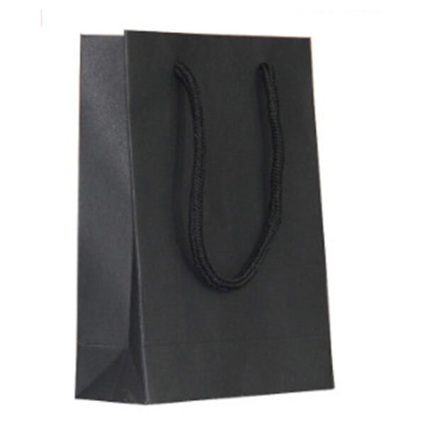 20 - custom paper bags-Blank