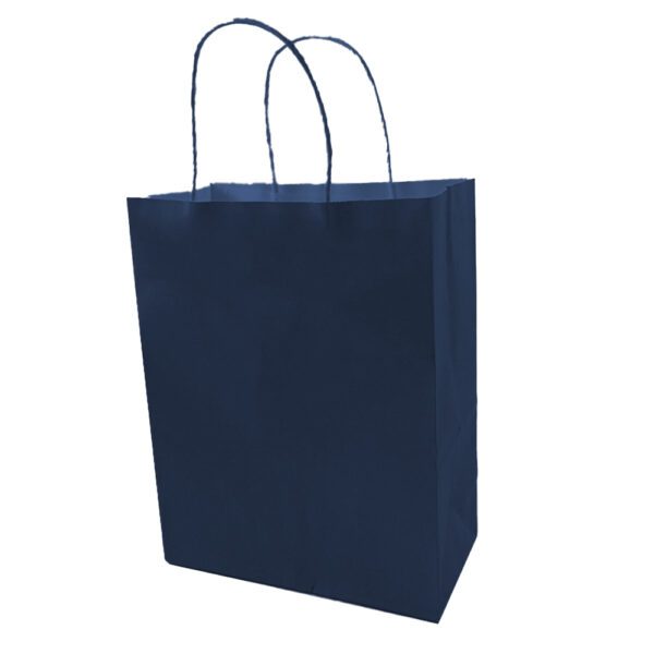 25 - custom paper bags-Blue