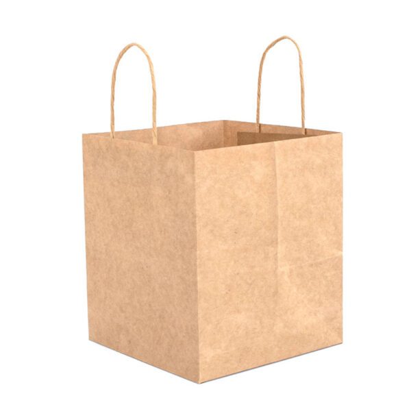 6 - custom paper bags-bag