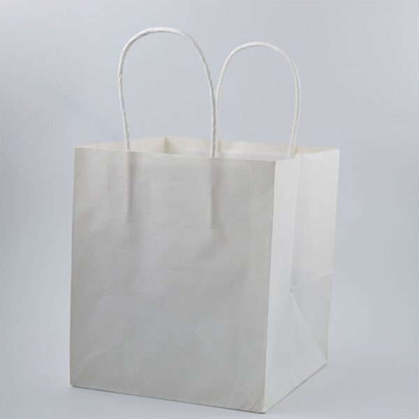 7 - custom paper bags-bags